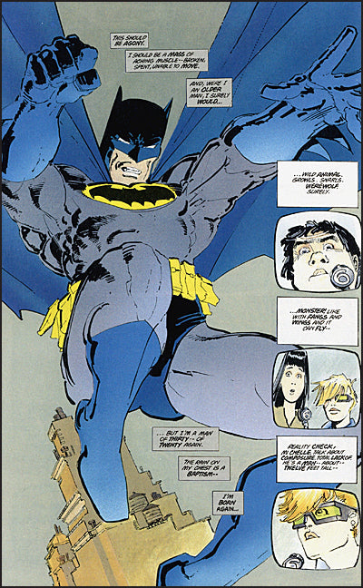 Batman The Dark Knight Returns Deluxe Edition