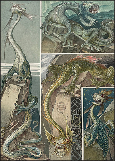 ANIMALIA & FANTASIA The Magical Worlds & Fantastic Creatures of Professor Anton Seder