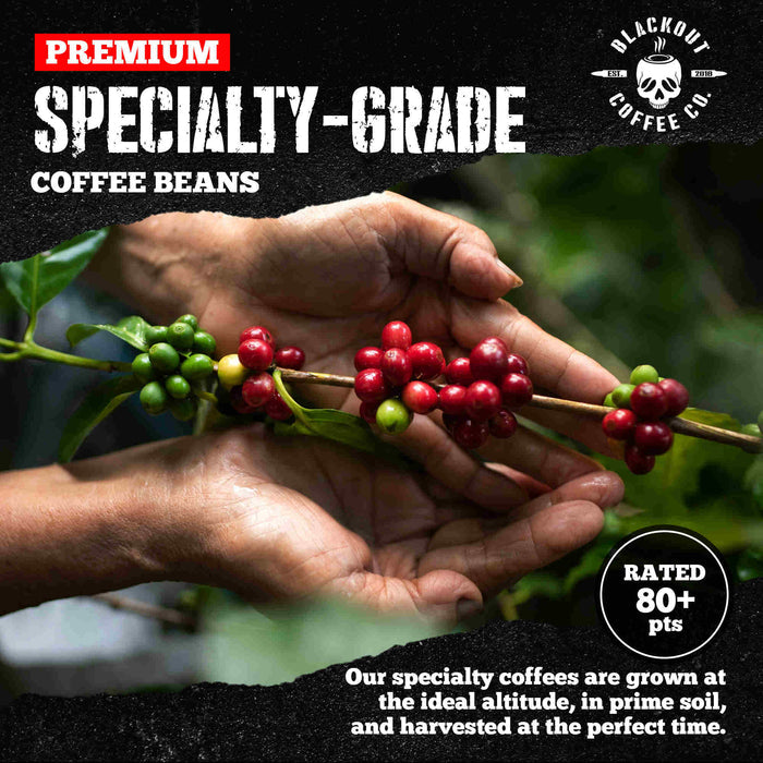 blackout coffee specialty grade