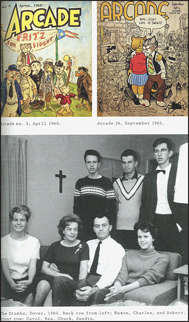 CRUMB A CARTOONIST'S LIFE Hurt