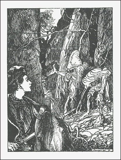 Grimm's Fairy Tales: Illustrated by Arthur Rackham (Arcturus Epic Classics)