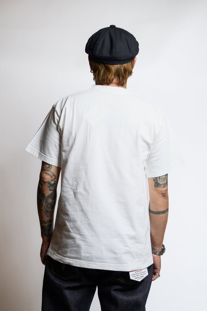 IHPT-PRT254 - WHITE
