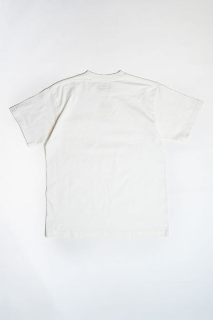 IHPT-PRT254 - WHITE