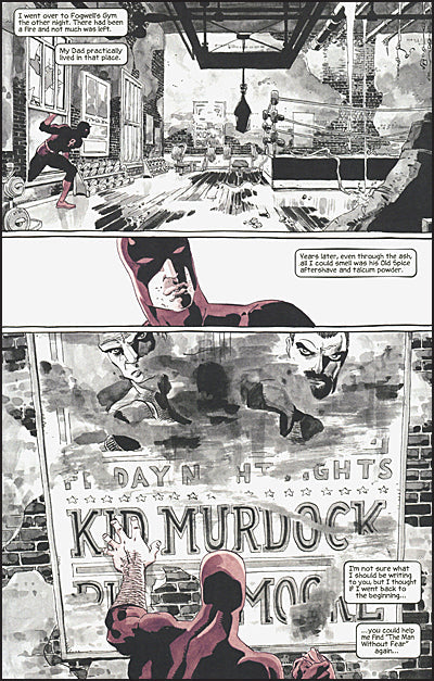 JEPH LOEB & TIM SALE DAREDEVIL Gallery Edition