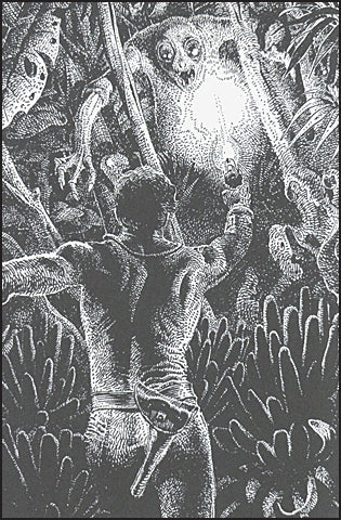 MOEBIUS