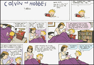 THE CALVIN AND HOBBES PORTABLE COMPENDIUM SET Volume 3