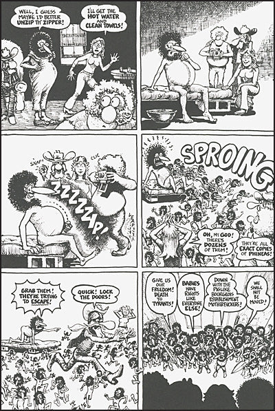 THE FABULOUS FURRY FREAK BROTHERS In The 21st Century and Other Follies