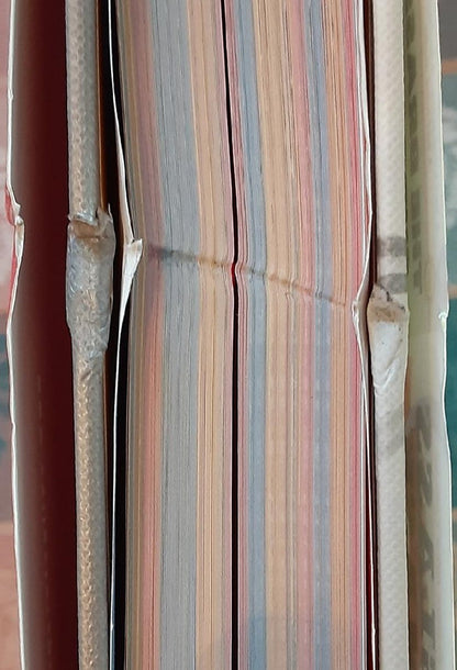 THE GREAT AMERICAN PAPERBACK