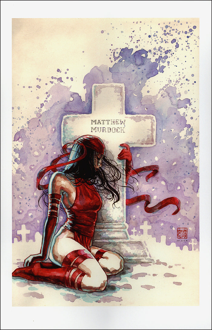 The Marvel Portfolio of David Mack: The Marvel Universe